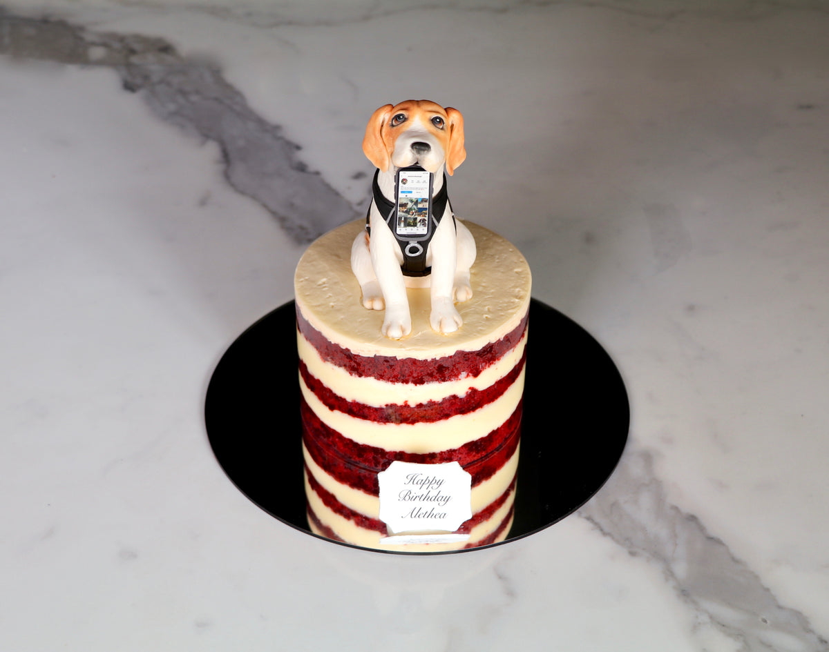 3D Sculpted Dog Cake Baking Maniac