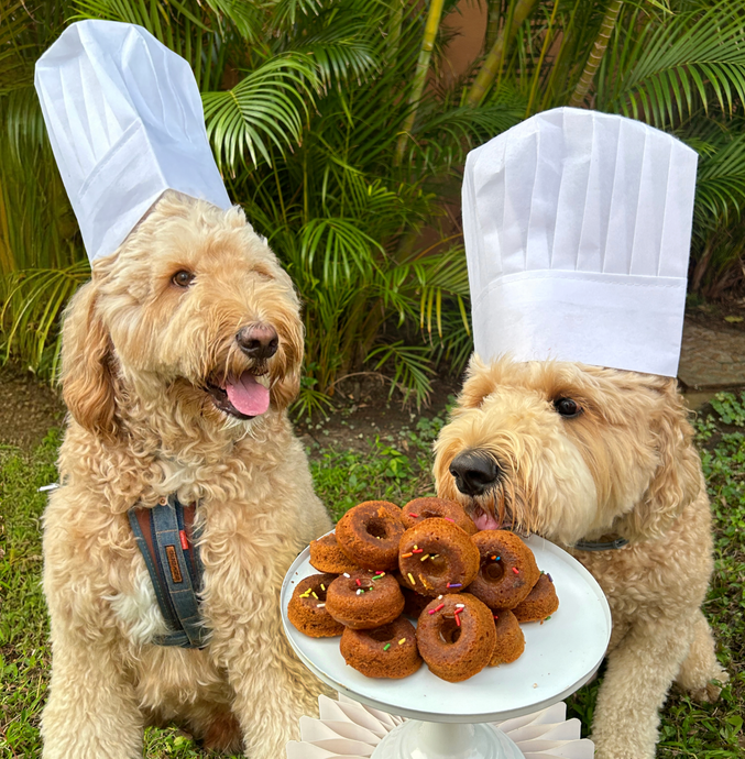 Dog-Friendly Cakes in Hong Kong: Treat Your Furry Friend with Baking Maniac