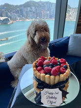 Load image into Gallery viewer, Dog Charlotte Cake