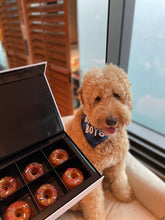 Load image into Gallery viewer, Doggy Donuts