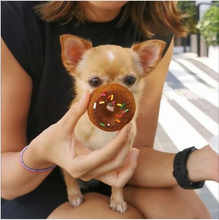 Load image into Gallery viewer, Doggy Donuts
