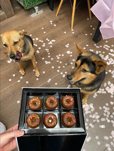 Doggy Donuts