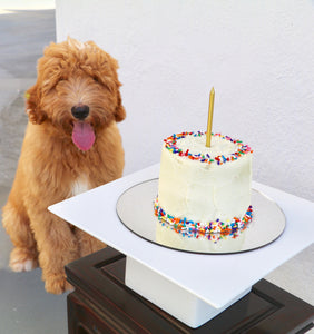 dog birthday cake in Hong Kong